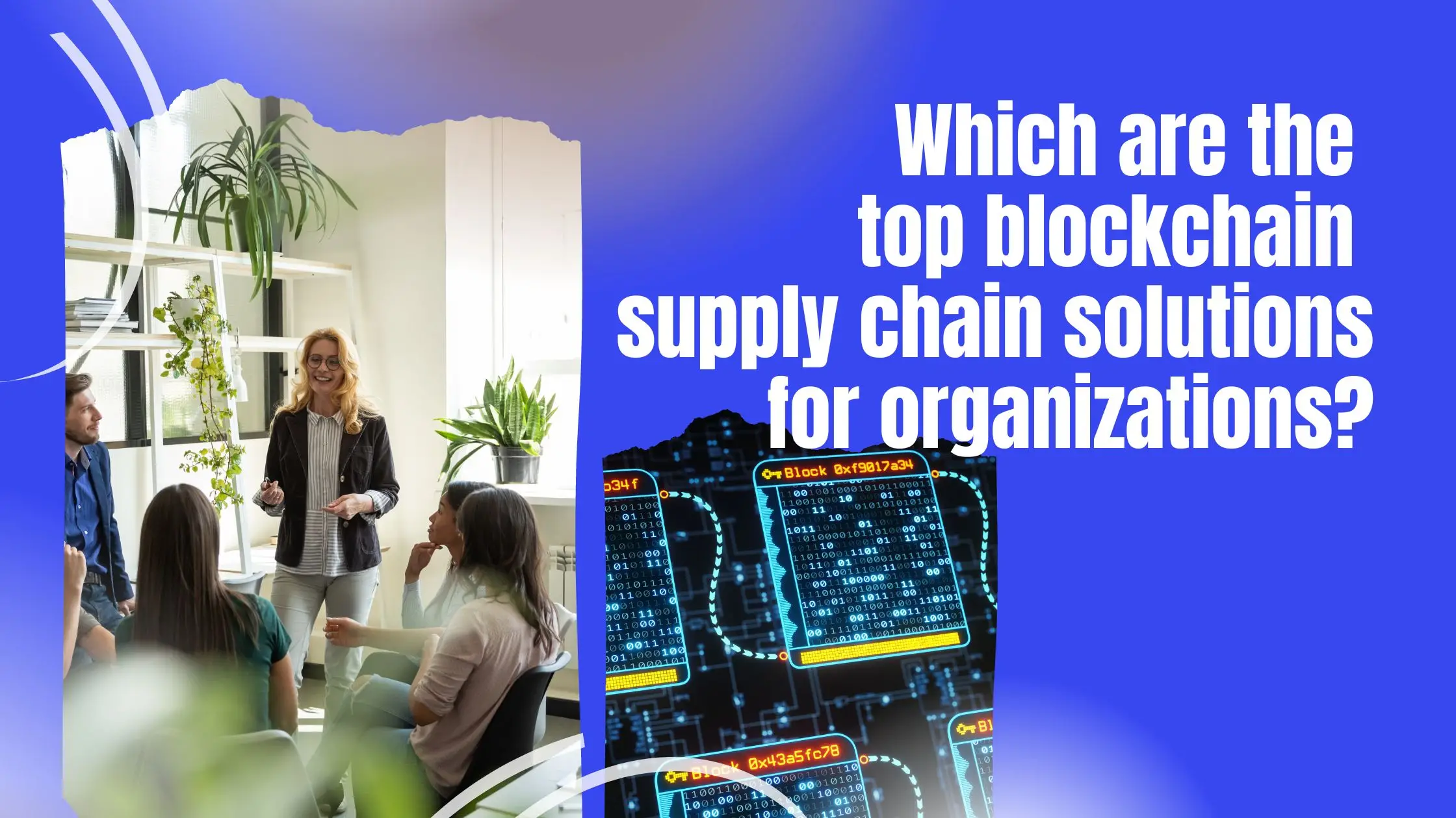 Which are the top blockchain supply chain solutions for organizations?