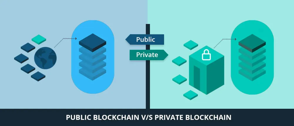 Public and Private Blockchains Distinctionpublic and private blockchain