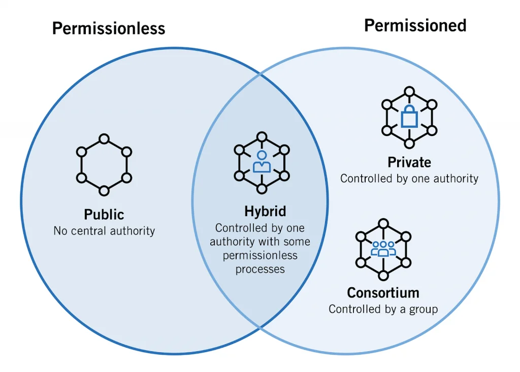 Beginner's guide to 4 types of blockchain networks
