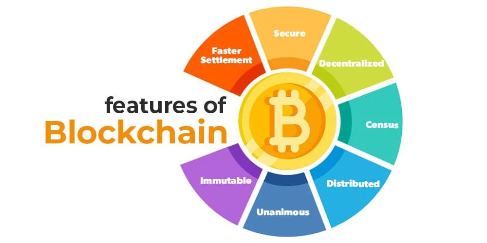 How to start a blockchain company without programming experience