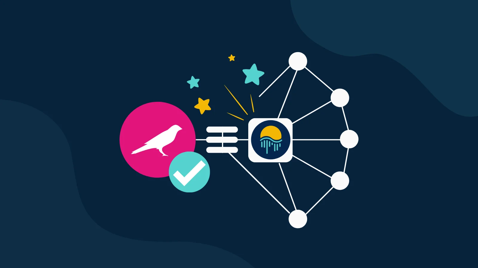 All you need to know about the moonriver network