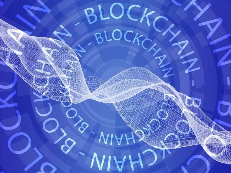 Expose the key to blockchain startup success