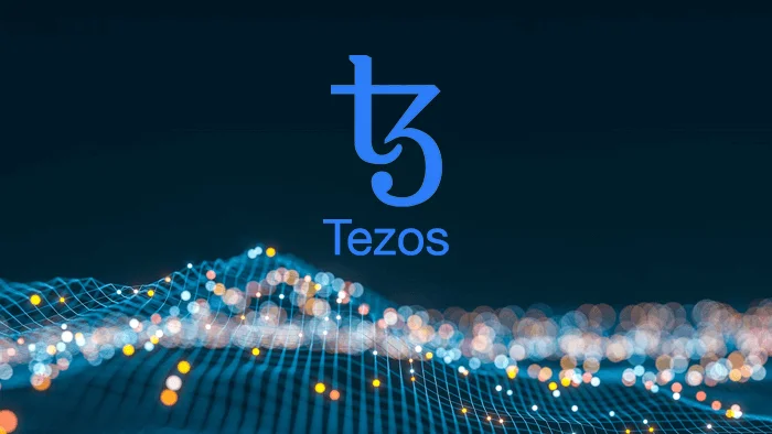 Top smart contract platforms and evaluation criteria