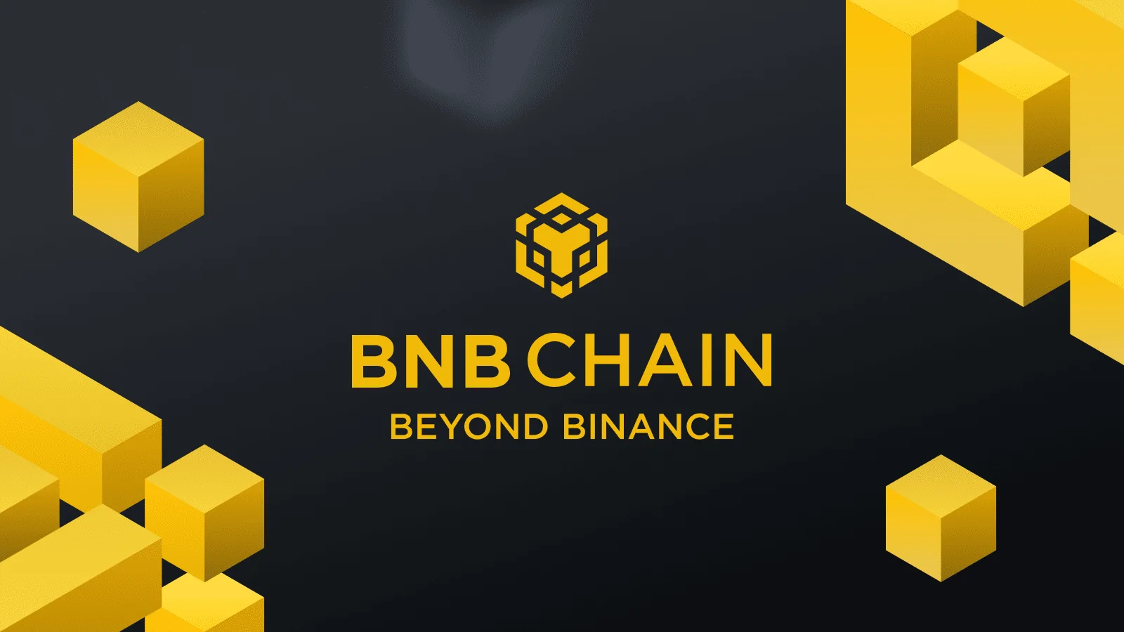 Should you build a new project on BNB chain?
